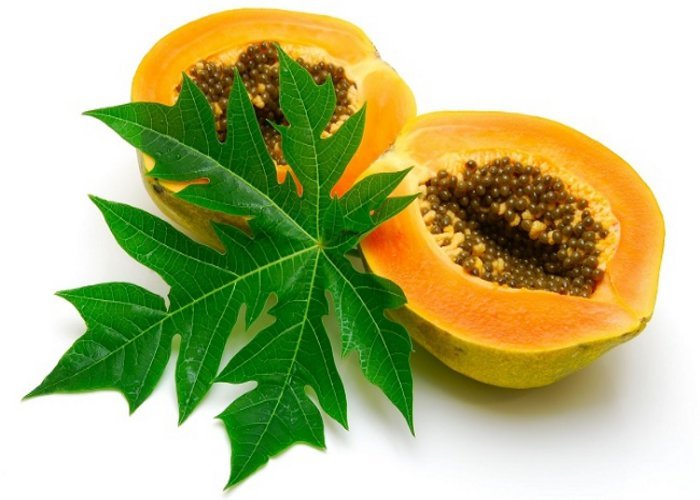 Best Carica Papaya Leaf Extracts Capsules ManufacturerTop